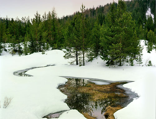 Лесной ручей. Фото В.Сонин